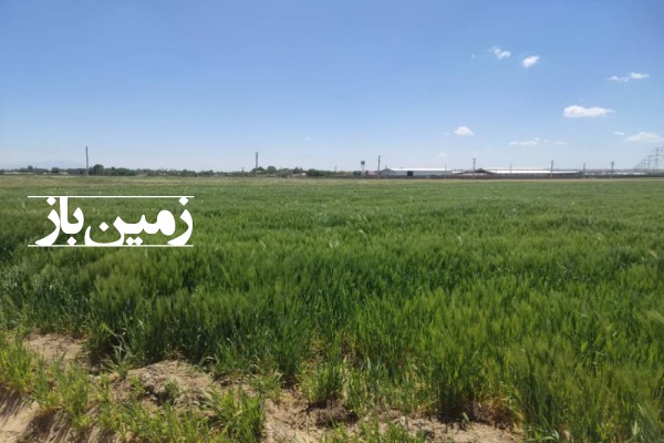 زمین کشاورزی با یک ساعت و نیم اب تهران دشت ۹۳۴۶ متر-1