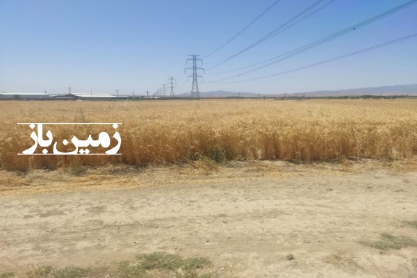 زمین کشاورزی با یک ساعت و نیم اب تهران دشت ۹۳۴۶ متر-2
