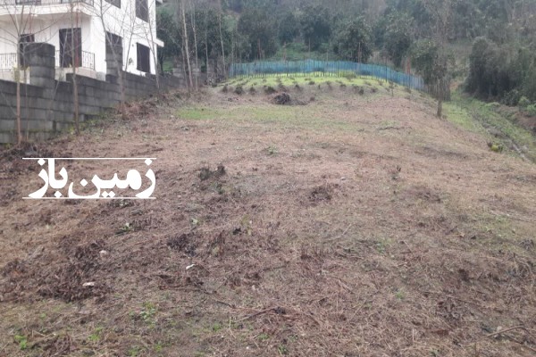 فروش زمین ۵۵۰ متر با جواز ساخت املش روستای آزاربن علیا-3
