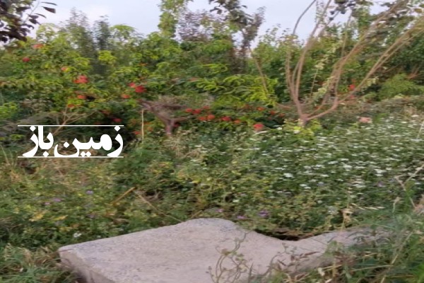 زمین باغچه ۵۰۰ متری روستای ارسطو فرخ آباد صفادشت-2