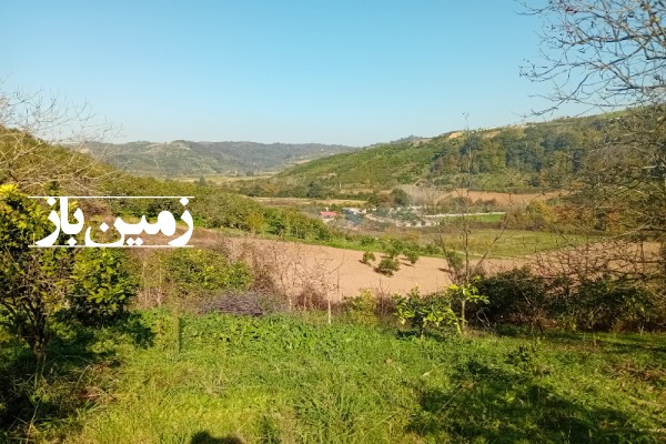 زمین کشاورزی قائمشهر کوهساران روستای سیفکتی 362 متر-2