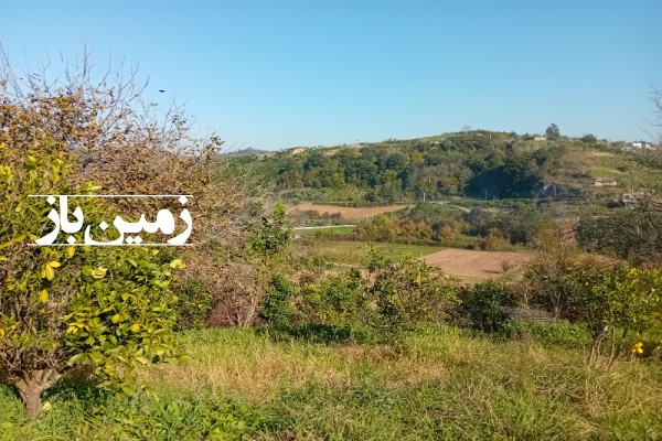 زمین کشاورزی قائمشهر کوهساران روستای سیفکتی 362 متر-3