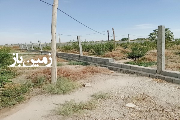 باغ ۵۰۰ متر زمین در کهریزک شریف اباد پاکدشت-3