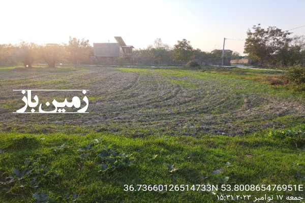 فروش زمین مسکونی ۳۰۰ متر در گلوگاه مازندران-3