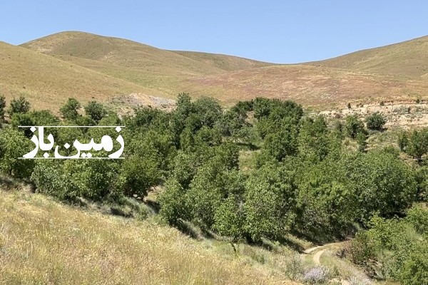 فروش زمین باغ همدان ۲۵۰۰۰ متر کیلومتر ۵ جاده ملایر بالاتر از روستای کردبلاغ-3