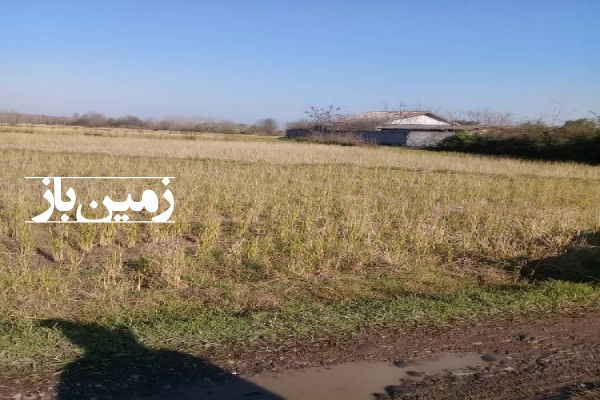 زمین کشاورزی کوچصفهان جاده لاهیجان روستای جعفرآباد 1480 متر-2