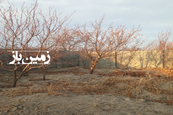 فروش باغچه ۵۹۲ متر زمین در انجم آباد شهریار-2