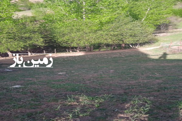 فروش زمین در مازندران نوشهر کجور روستای مونج 460 متر-2