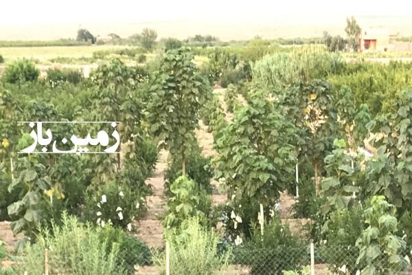 زمین کشاورزی ابتدای جاده ساوه همدان جاده سید قلی ۱۸۰۰ متر-1