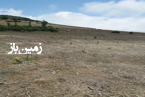 فروش 3700 زمین کشاورزی واقع در رحیم آباد روستای هلوبن-4