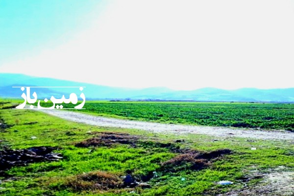 زمین گلستان آزادشهر روستای سرکهریزا ۲۰۰ متر-3