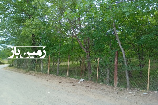 فروش زمین باغی رستم آباد توتکابن  روستای خاصکول 465 متر-3