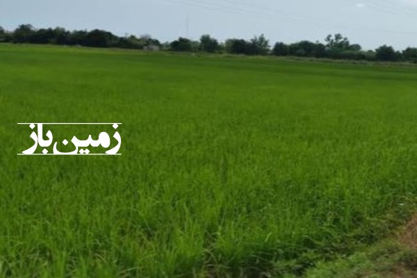 فروش زمین کشاورزی 800 متر جاده کلدره روستا روشنابسر-1