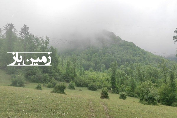 زمین باغی مناسب برای بوم گردی نوشهر منطقه کجور لشکنار ۸۰۰۰ متر-3
