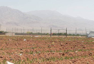فروش زمین با اب کشاورزی ابسرد فاز۲ خیابان یاس 500 متر