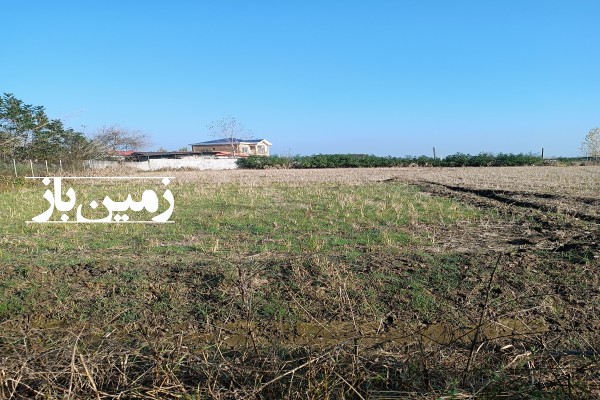 فروش زمین کشاورزی در نشتارود پلنگ آباد 300 متر-1