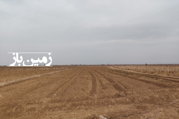 فروش زمین کشاورزی ۱۶۵۰۰ متر با آب قزوین تاکستان اسفرورین-1