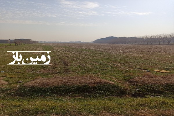 فروش زمین کشاورزی در روستای تورقوز آباد کهریزک 13740 متر-3
