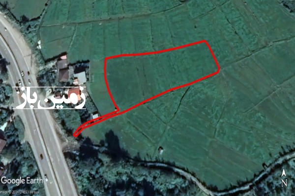 فروش ۵۶۰۰ متر زمین کشاورزی در مازندران شیرگاه بعد از روستای چالی-4
