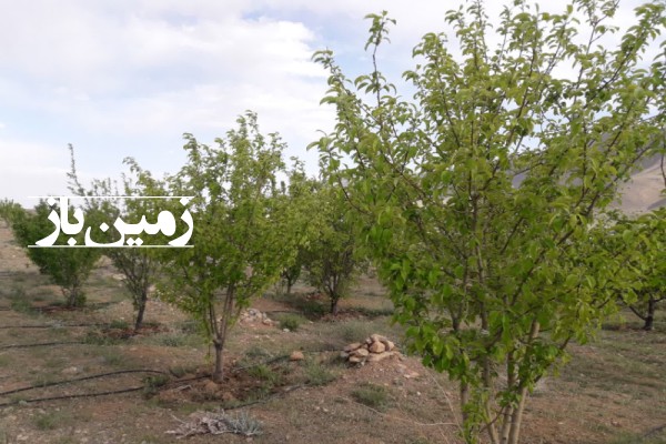 فروش زمین خانه باغ  16000 متری در باغبادران اصفهان-3
