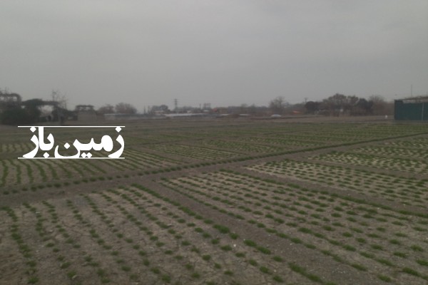 فروش زمین کشاورزی 2185 متر در اصفهان ناژوان-4