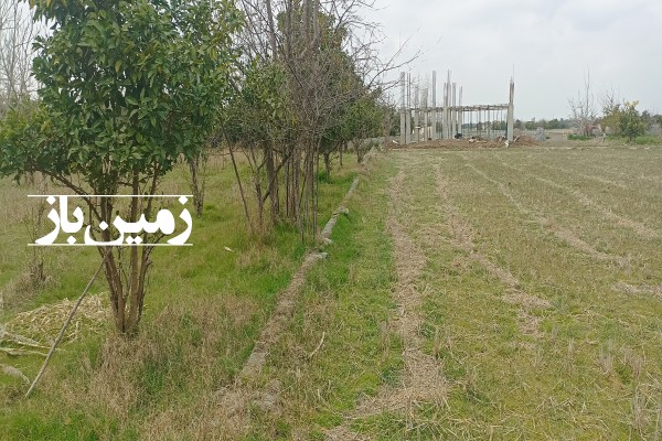 فروش زمین کشاورزی در شمال  500 متر بابل روستای نقارچی محله-1