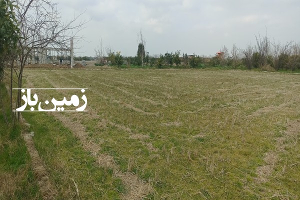 فروش زمین کشاورزی در شمال  500 متر بابل روستای نقارچی محله-2