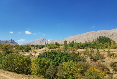 فروش زمین باغی در اصفهان ۱۱۷۰ متر فریدون شهر