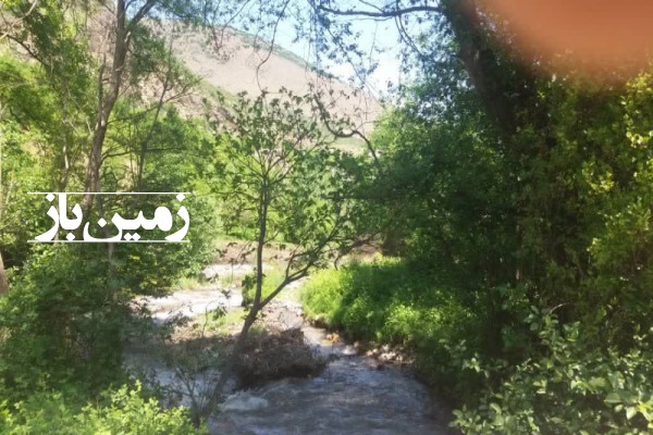 فروش زمین باغی در شمال ۶۰۰۰ متر نوشهر کجور روستای دشت نظیر-1