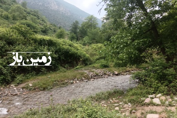 فروش زمین باغی در شمال ۶۰۰۰ متر نوشهر کجور روستای دشت نظیر-4