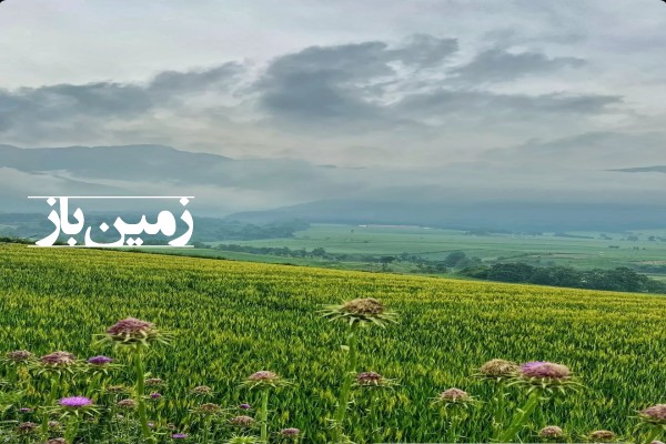 فروش زمین کشاورزی در گلستان 3000 متر گرگان روستای نوچمن-1