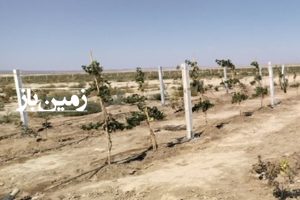فروش زمین کشاورزی باغ در تهران 600 متر بعد از روستای انیس آباد پروژه کوشاگران-2