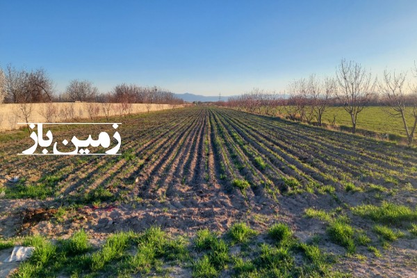 فروش زمین کشاورزی با آب در البرز 2000 متر هشتگرد روستای حاجی بیک-2