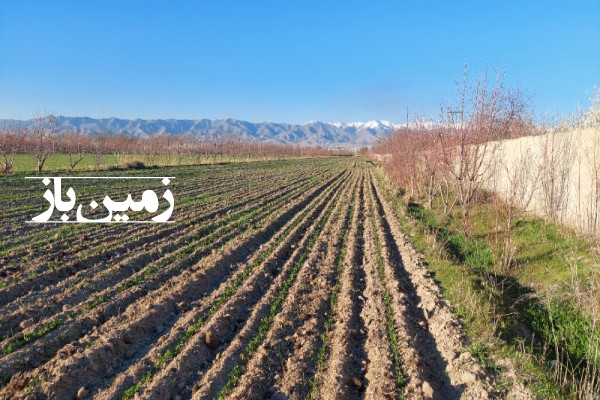فروش زمین کشاورزی با آب در البرز 2000 متر هشتگرد روستای حاجی بیک-3