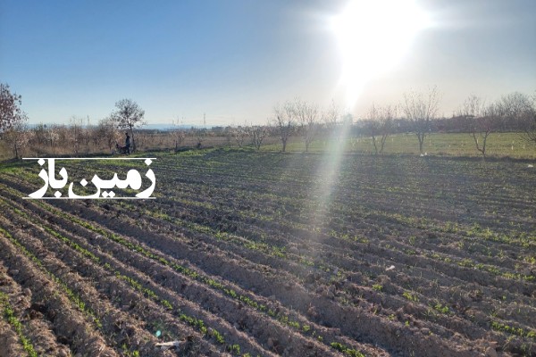 فروش زمین کشاورزی با آب در البرز 2000 متر هشتگرد روستای حاجی بیک-4