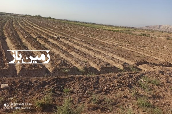 فروش زمین کشاورزی تهران 10000 متر ورامین عسگرآباد-2
