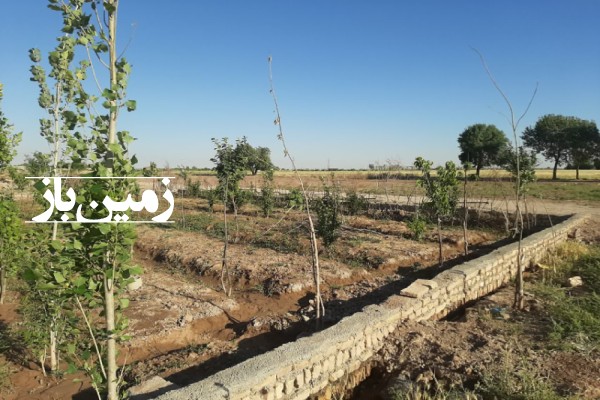 فروش زمین باغچه در تهران 240 متر روستای گل تپه کبیر قرچک-4