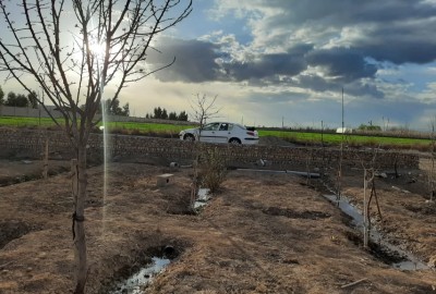 فروش زمین باغچه در تهران 240 متر روستای گل تپه کبیر قرچک