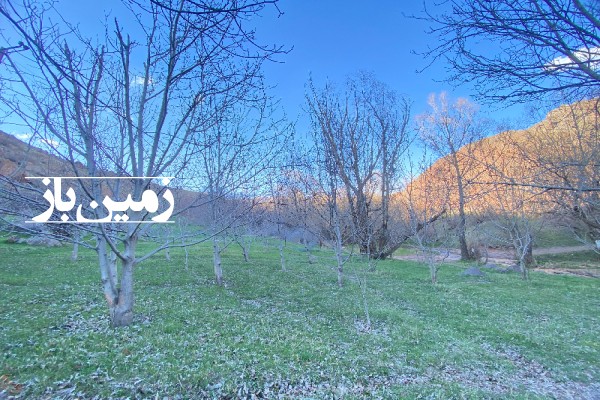 فروش زمین باغی در البرز 300 متر طالقان روستای دنبلید-1