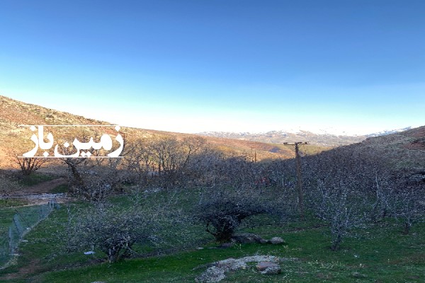 فروش زمین باغی در البرز 300 متر طالقان روستای دنبلید-2