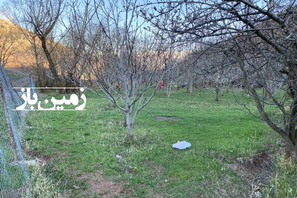 فروش زمین باغی در البرز 300 متر طالقان روستای دنبلید-4