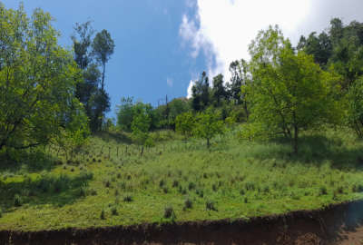 فروش زمین در گیلان ۵۰۰ متر جاده پونل به خلخال روستای ییلاقی نوده