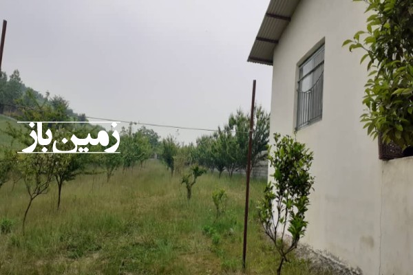 فروش زمین باغی در شمال ۳۵۰۰ متر قائمشهر روستای سیف کتی-2