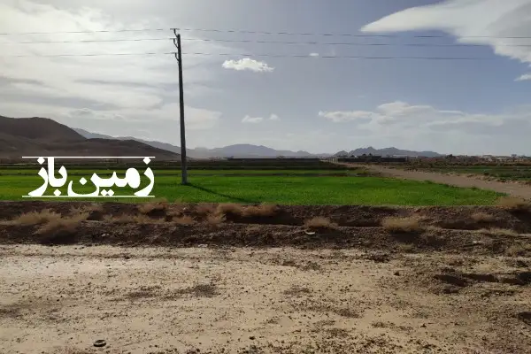 فروش زمین کشاورزی در اصفهان ۴۷۸۰۰ متر نجف آباد - تصویر 3