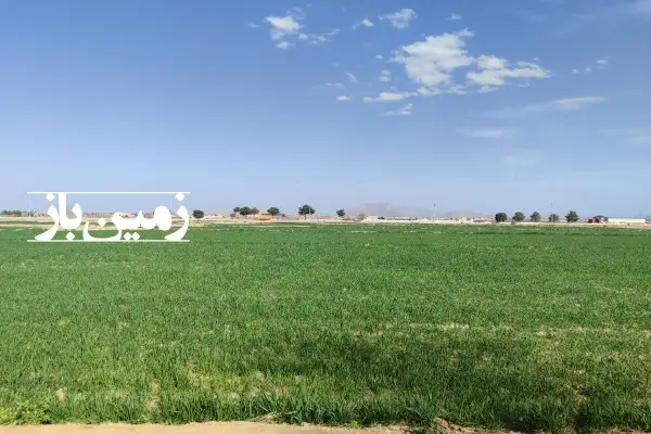 فروش زمین کشاورزی در اصفهان ۴۷۸۰۰ متر نجف آباد - تصویر 4