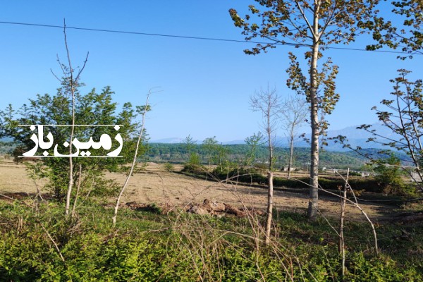 فروش زمین کشاورزی در گیلان ۵۰۰۰ متر سراوان کاروانسرای شاه عباسی-2