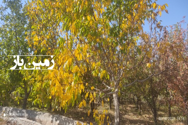 فروش زمین مسکونی در مرکزی 430 متر رازقان خرقان روستای علیشار-3