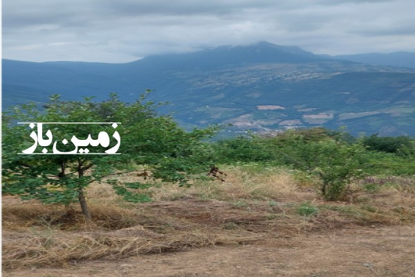 فروش زمین کشاورزی باغ در گلستان 500 متر رامیان روستای الهادی-3