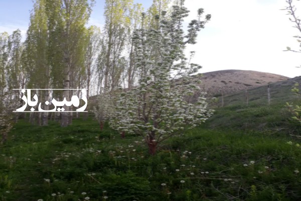 فروش زمین باغ در تهران 1 هکتار فیروزکوه ارجمند روستای شادمهن-3