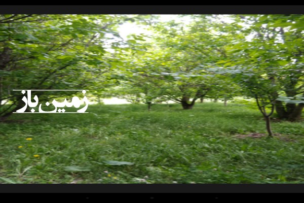 فروش زمین باغ در تهران 2300 متر فیروزکوه هرانده-1